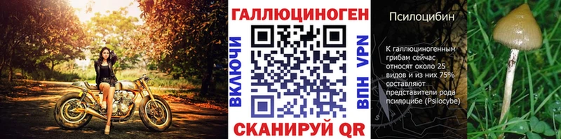 kraken вход  Нарьян-Мар  Псилоцибиновые грибы мухоморы  закладка 
